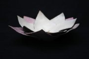 lotus-Sarah-B-02
