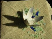 lotus-blue-A-01