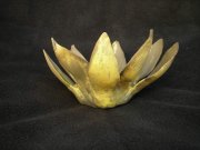 lotus-yellow-copper-13