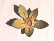 lotus-buddha-08