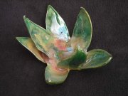 lotus-green-green-copper-05