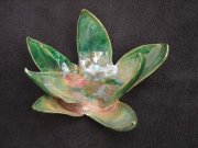 lotus-green-green-copper-07