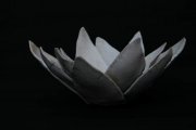 lotus-mie-07