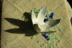 lotus-blue-01