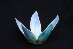 lotus-blue-B-20