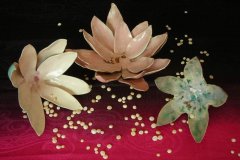 lotus-collection-06