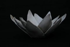 lotus-mie-07