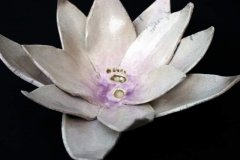lotus-mie-19