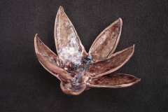 lotus-violet-19