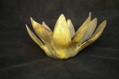 lotus-yellow-copper-13